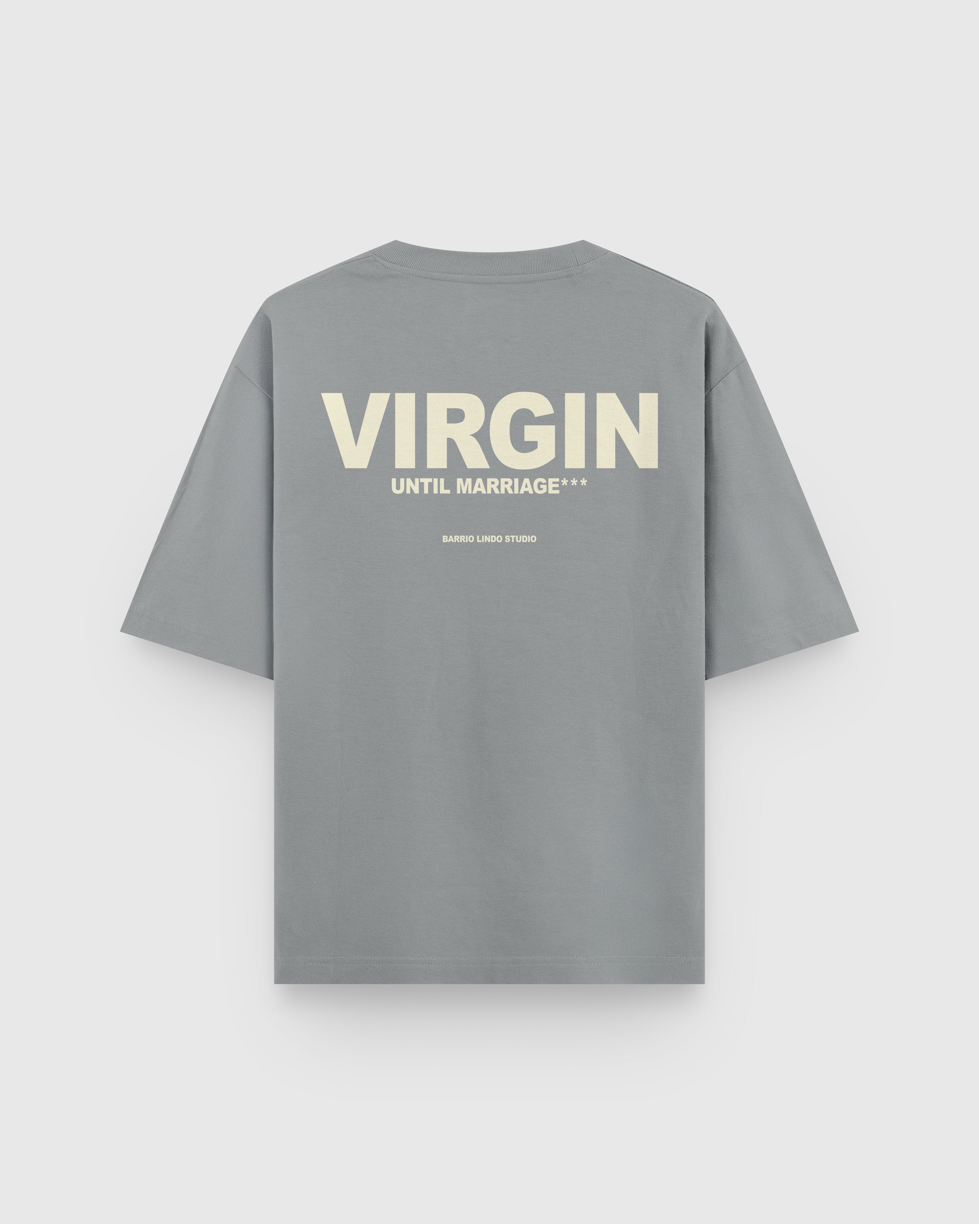 Camiseta Virgin Gris